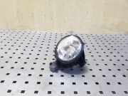 Nebelscheinwerfer links vorne BMW X5 (E70) 63177184317