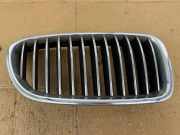 Vorderer oberer Gitter BMW 5 (F10) 520 d 7261356