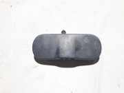 Scheibenwaschdüse Audi A6 Allroad (4F) 4F0955987B