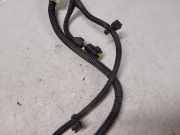 Kabelbaum Citroen C4 Grand Picasso (U) 3800102