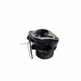 Vakuumpumpe Renault Clio III (BR0/1, CR0/1) 8200399569