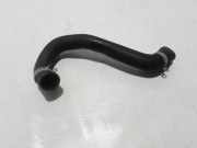 Wasserkühlerschlauch rechts