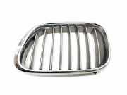 Gitter Grill vorne links BMW X5 (E53) 4.4 i 8247673