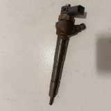 Düsenstöcke VW Passat B7 Alltrack (36, B7) 8ZRH817