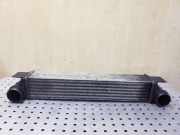 Ladeluftkühler BMW 5 (E39) 530 d 1914555