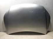 Motorhaube VW Tiguan I (5N)