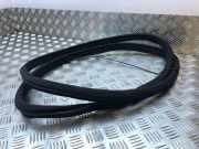 Türdichtung Mercedes-Benz C-Klasse (W203)