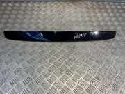 Kennzeichenbeleuchtung Verkleidung