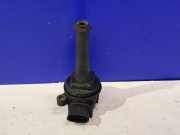 Zündspule VOLVO XC90 I T6 AWD (USA) 0221604001 1220703014