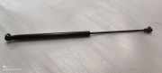Heckklappe Gasdruckfeder links AUDI A8 D3 (4E2, 4E8) S8 quattro 4H0827551