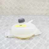 Ausgleichsbehälter OPEL MOVANO B Furgon 2.3 CDTI FWD 217100015R