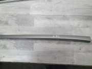 Dachleiste links BMW 5 Touring (F11) 520 i