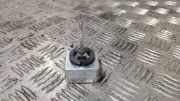 Xenon-Lampe BMW 3 (E90) 320 d 66340HBI