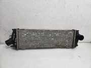 Ladeluftkühler OPEL VIVARO Furgon (F7) 2.0 CDTI 8200411160E