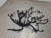 Motor Kabelbaum RENAULT KOLEOS I (HY_) 2.0 dCi 4x4 (HY0K) 24360JG70A