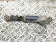 Stoßdämpfer hinten links HYUNDAI SANTA FÉ III (DM) 2.2 CRDi 4WD 553202W210