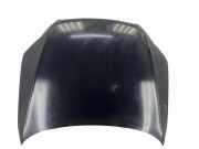 Motorhaube AUDI Q7 (4L) 3.0 TDI quattro 021232