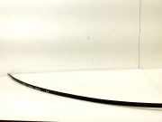 Dachleiste links TOYOTA VERSO (_R2_) 1.6 D4-D (WAR20_)