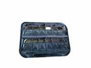 Karosserielüftungsgitter