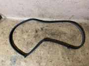 Türgummi links hinten Mercedes-Benz CLS (C218)