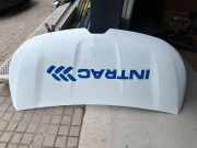 Motorhaube RENAULT MASTER III Furgon (FV) 2.3 dCi 100 [RWD] (FV0B, FV0C, FV0D) 656169152R