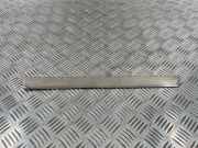 Schwellerverkleidung vorne links MERCEDES-BENZ C (W205) C 300 BlueTEC Hybrid / h (205.012) A2056802210