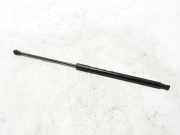 Heckklappe Gasdruckfeder links RENAULT SCÉNIC IV (J9_) 1.6 dCi 130 904509420R