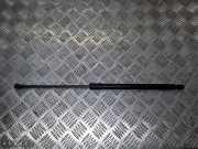 Gasfeder für Motorhaube Lexus RX 4 (L2) 534400E070