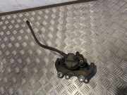 Bremssupport hinten links MERCEDES-BENZ S (W221) S 500 CGI (221.073, 221.173)