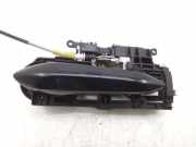 Türgriff rechts hinten BMW 5er (F10)