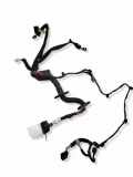 Kabel Tür vorne rechts RENAULT MASTER III Furgon (FV) 2.3 dCi 145 FWD (FV0E, FV0F, FV0H, FV0J) 241244369R