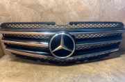 Ziergitter Mercedes-Benz R-Klasse (W251) A0008880060
