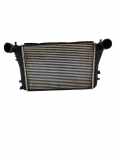 Ladeluftkühler VW GOLF PLUS (5M1, 521) 1.9 TDI 1K0145803T