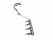 Düsenstöcke Toyota Prius (W5) 250072321