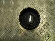 Frischluftgrill RENAULT ZOE (BFM_) ZOE 687608955R