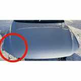 Motorhaube VW PASSAT B8 (3G2) 1.6 TDI