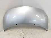 Motorhaube Renault Twingo II (CN0)