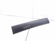 Armaturenbrett Verkleidung