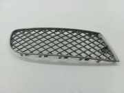 Gitter vorne unten BENTLEY FLYING SPUR (3W_) 6.0 3W5807682
