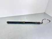 Heckklappe Gasdruckfeder links LAND ROVER RANGE ROVER SPORT II (L494) 4.4 SDV8 4x4 C16896103