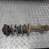 Stoßdämpfer vorne links