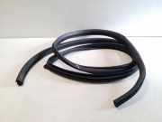 Türdichtungsgummi vorne links CHEVROLET CAPTIVA (C100, C140) 2.2 D 4WD