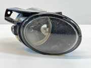 Nebelscheinwerfer rechts vorne VW Passat B7 Alltrack (36, B7) 3C0941700A