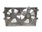 Kühlmodul Peugeot 4007 () 070411