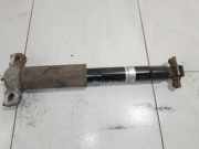 Stoßdämpfer hinten links FORD S-MAX 2.0 TDCi 19263168