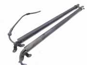 Heckklappe Gasdruckfeder links TOYOTA C-HR (_X2_, _H2_) Hybrid 6891010010