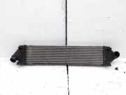 Ladeluftkühler Volvo V70 III (135) 31338471