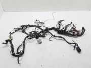 Kabelbaum Renault Koleos I (HY) 240181073R