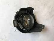 Nebelscheinwerfer links NISSAN NP300 NAVARA (D40) 2.5 dCi 4WD 26150EB500 89203681