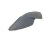 Schwellerleisten Citroen DS5 ()